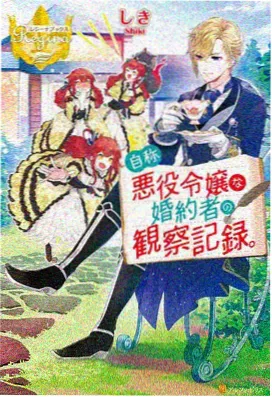 极光影音盒全格式高清视频播放器测试画面