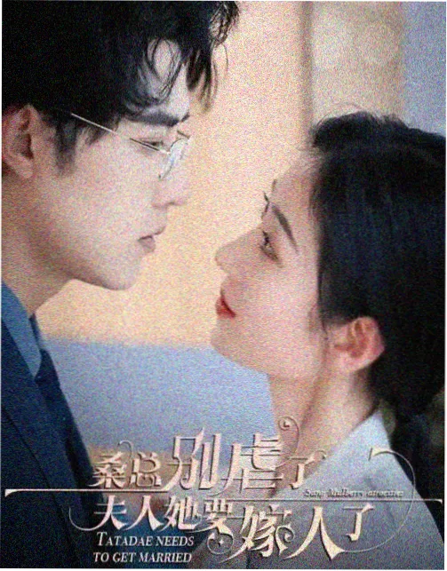 家庭影院无损音轨直通播放器资讯配图